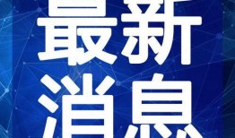 厦门体育爆料最新消息视频,视频揭秘精彩瞬间与幕后故事