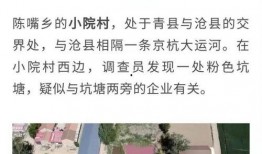 老陈最新爆料视频下载免费,视频内容大揭秘，免费下载详情曝光！